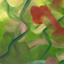 NatureA
